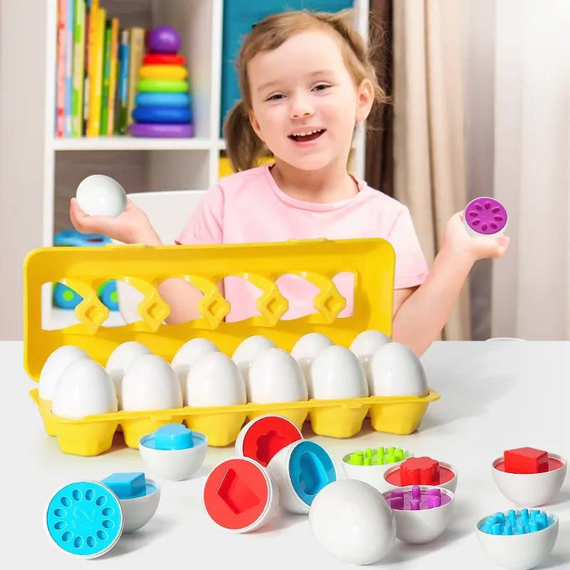 Brinquedo Educacional Ovos de Encaixar Montessori fabrica baby
