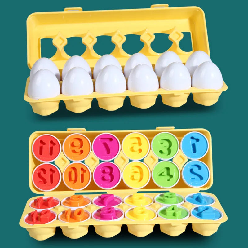 Brinquedo Educacional Ovos de Encaixar Montessori fabrica baby